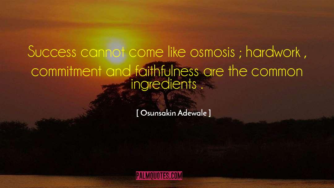 Osmosis quotes by Osunsakin Adewale