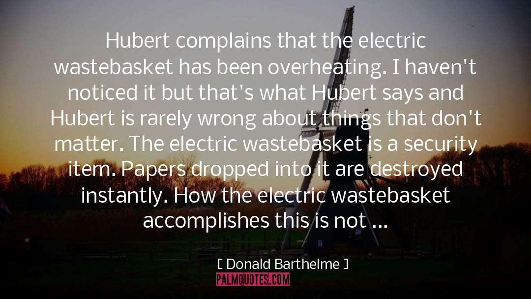Ostendorf Electric Chico quotes by Donald Barthelme