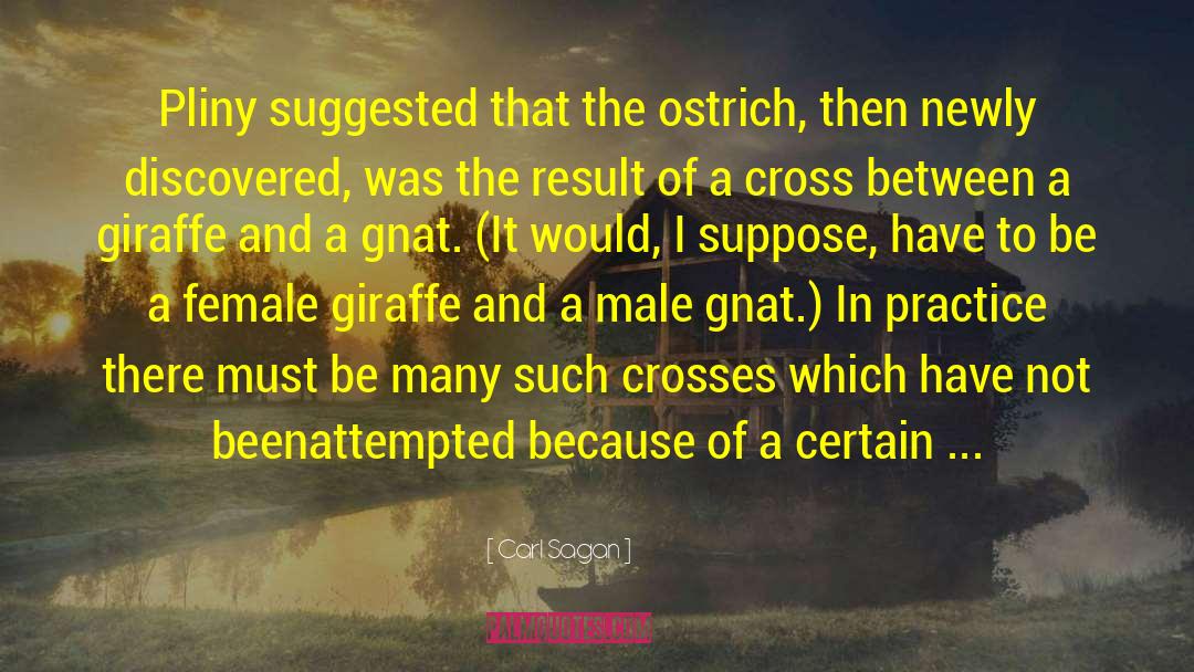 Ostrich quotes by Carl Sagan