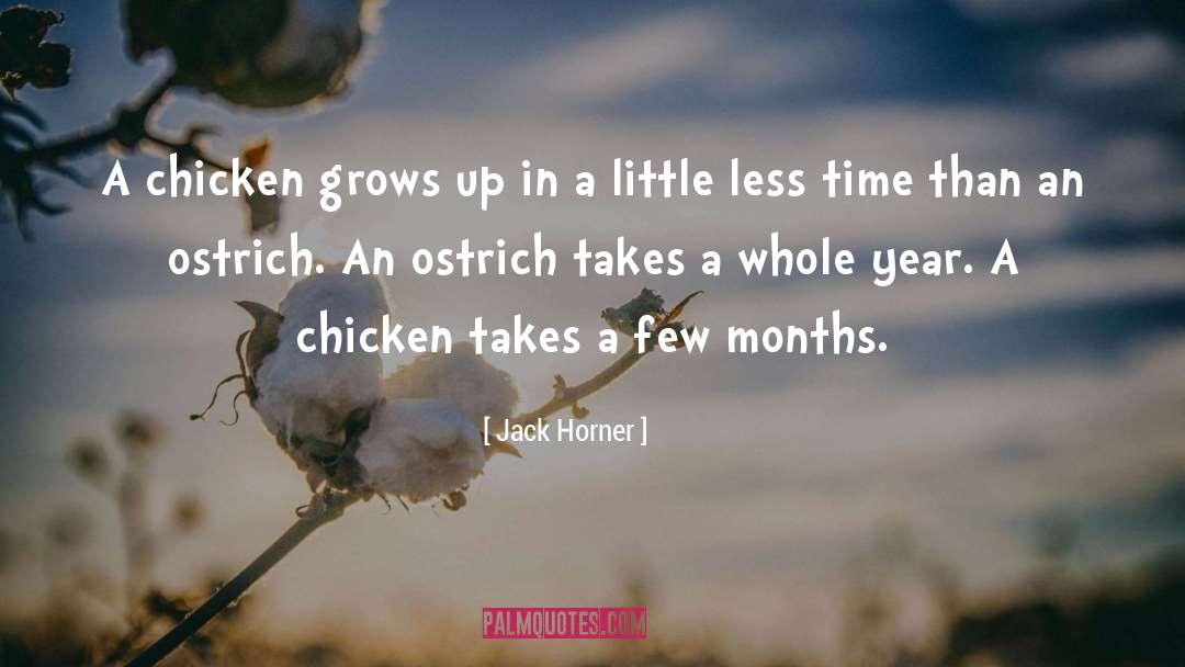 Ostrich quotes by Jack Horner