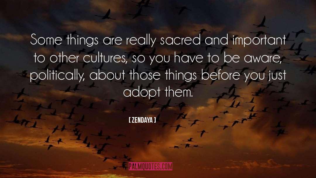 Other Cultures quotes by Zendaya