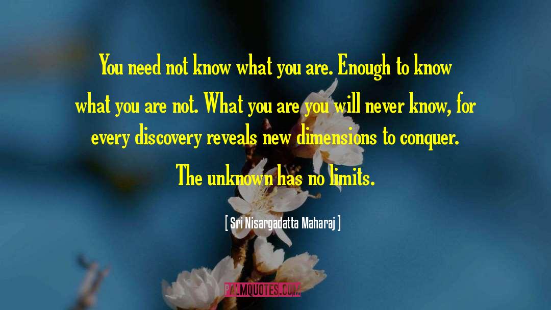 Other Dimensions quotes by Sri Nisargadatta Maharaj