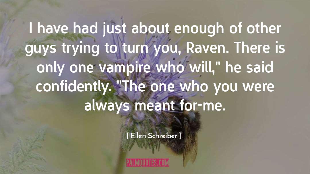 Other Guys quotes by Ellen Schreiber