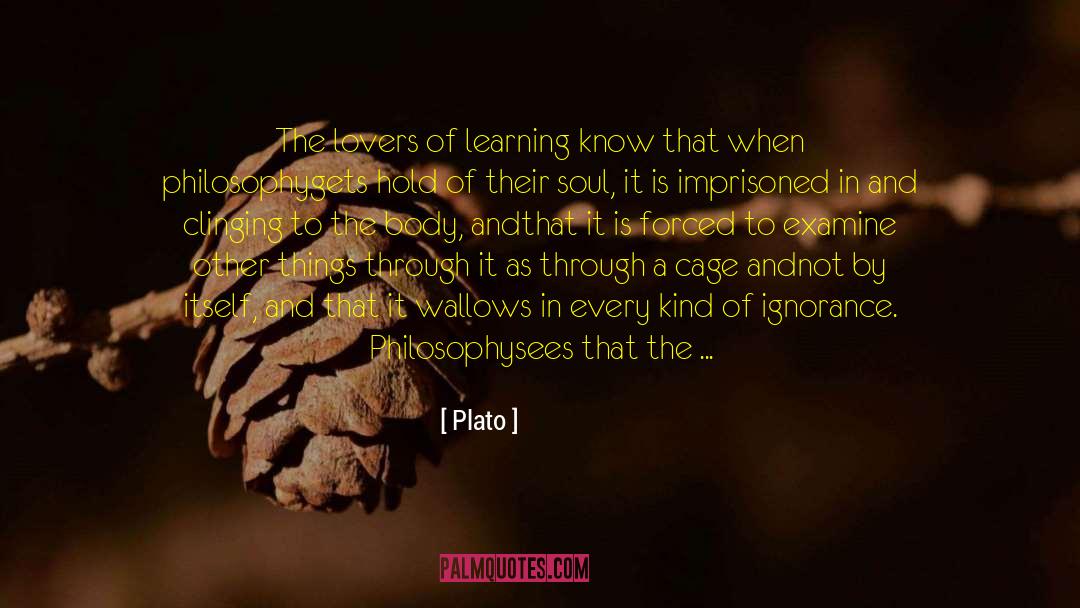 Other Senses quotes by Plato