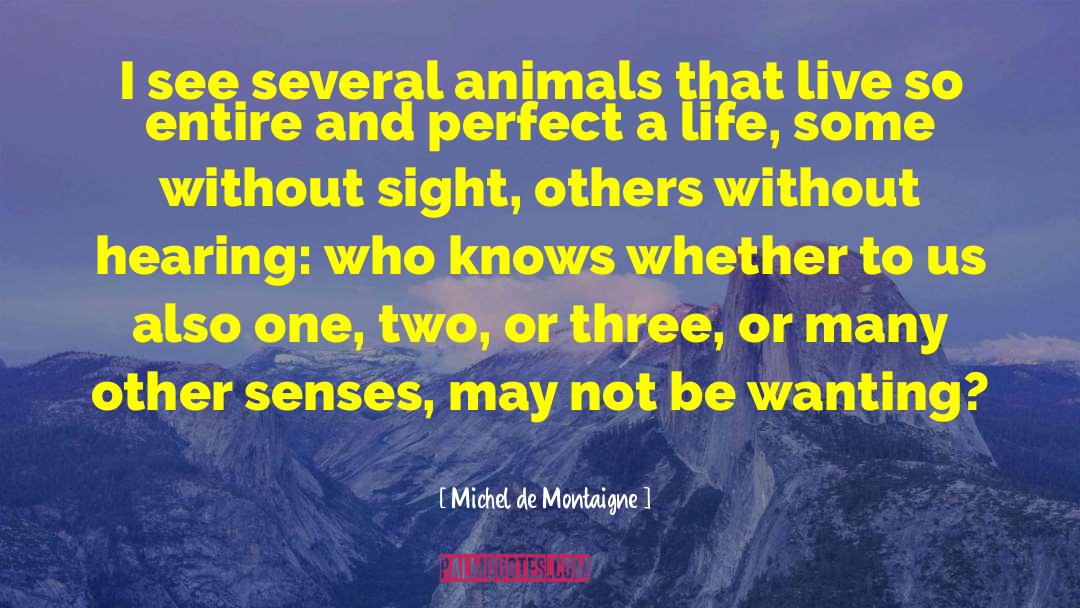 Other Senses quotes by Michel De Montaigne