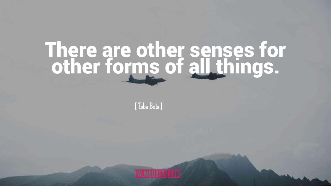 Other Senses quotes by Toba Beta