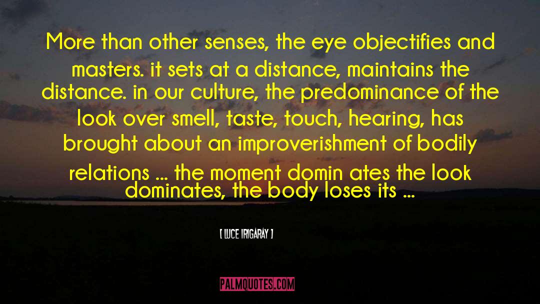 Other Senses quotes by Luce Irigaray