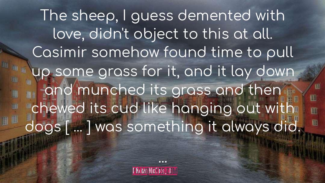 Other Sheep quotes by Robin McKinley