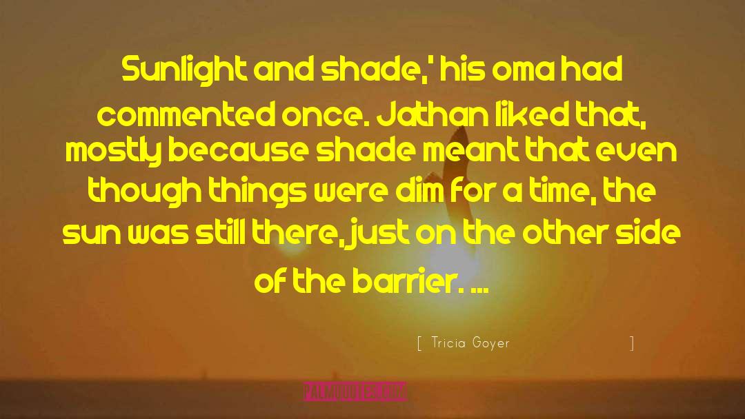 Other Side Of The Fence quotes by Tricia Goyer