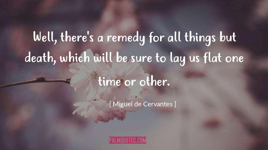 Other Time quotes by Miguel De Cervantes