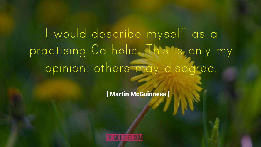 Others Opinion quotes by Martin McGuinness