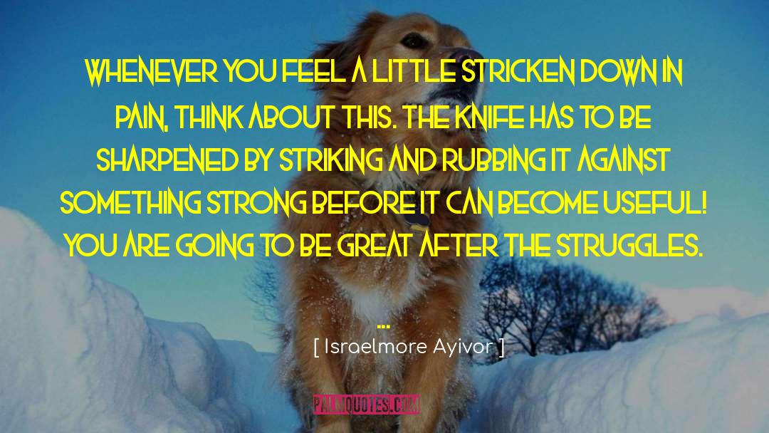 Others Struggles quotes by Israelmore Ayivor