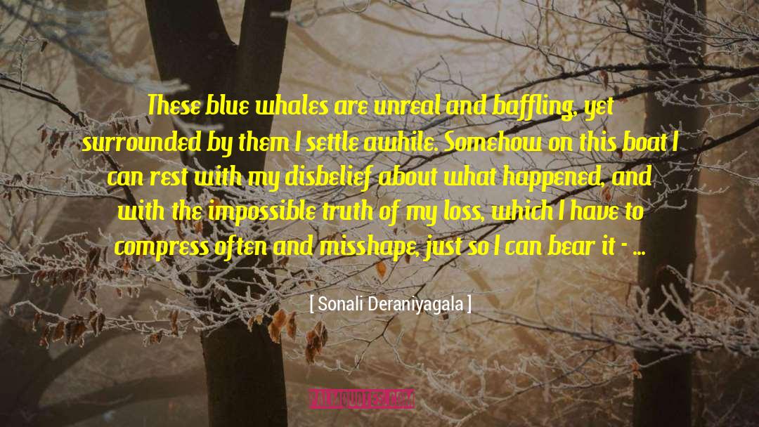 Otherworldly Realms quotes by Sonali Deraniyagala