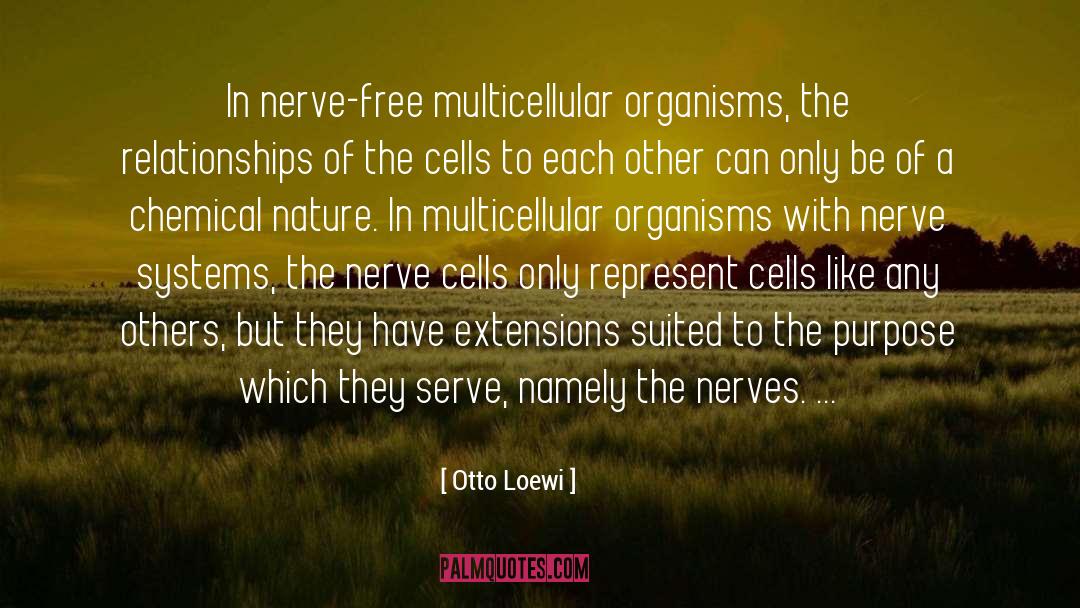 Otto Loewi quotes by Otto Loewi