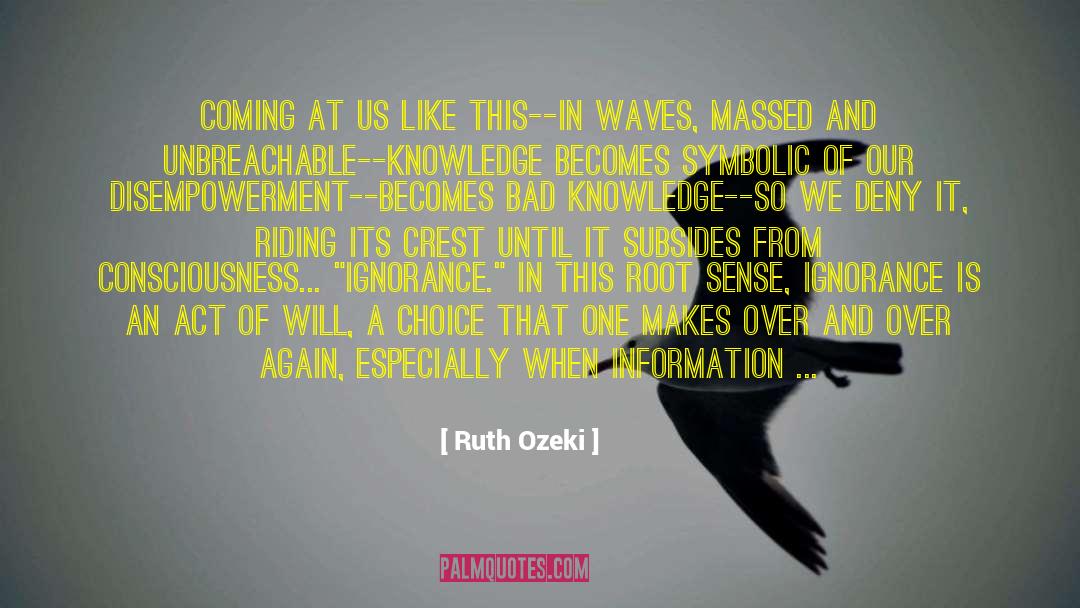 Our Consciousness Is Limited quotes by Ruth Ozeki