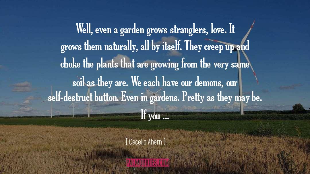 Our Demons quotes by Cecelia Ahern