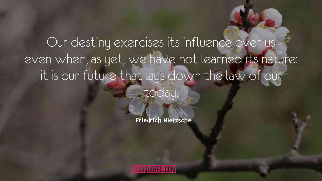 Our Destiny quotes by Friedrich Nietzsche