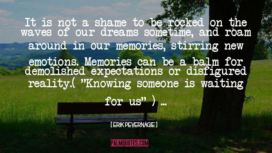 Our Memories quotes by Erik Pevernagie