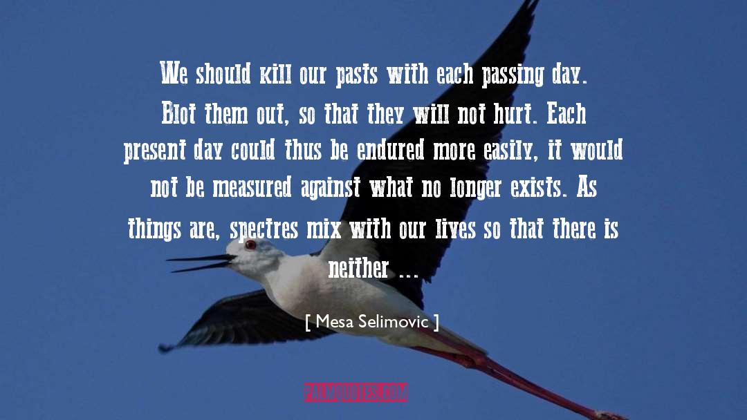 Our Pasts quotes by Mesa Selimovic