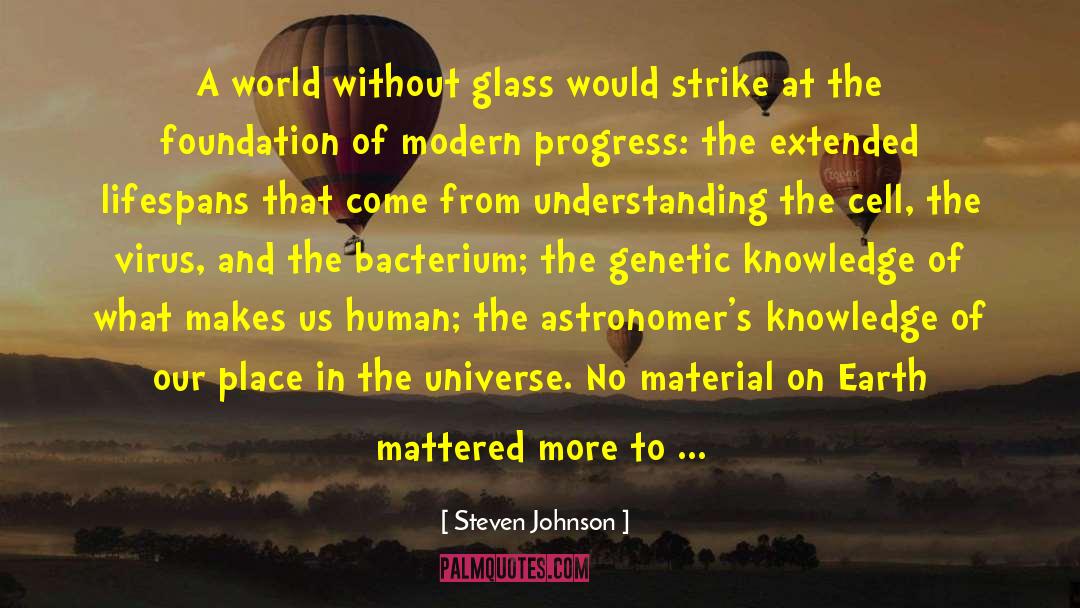 Our Place In The Universe quotes by Steven Johnson