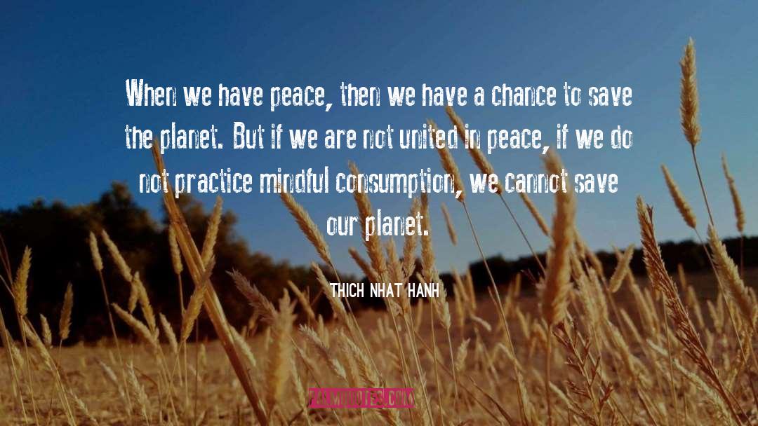 Our Planet quotes by Thich Nhat Hanh