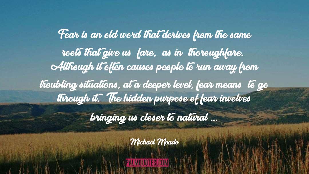 Our Purpose In Life quotes by Michael Meade