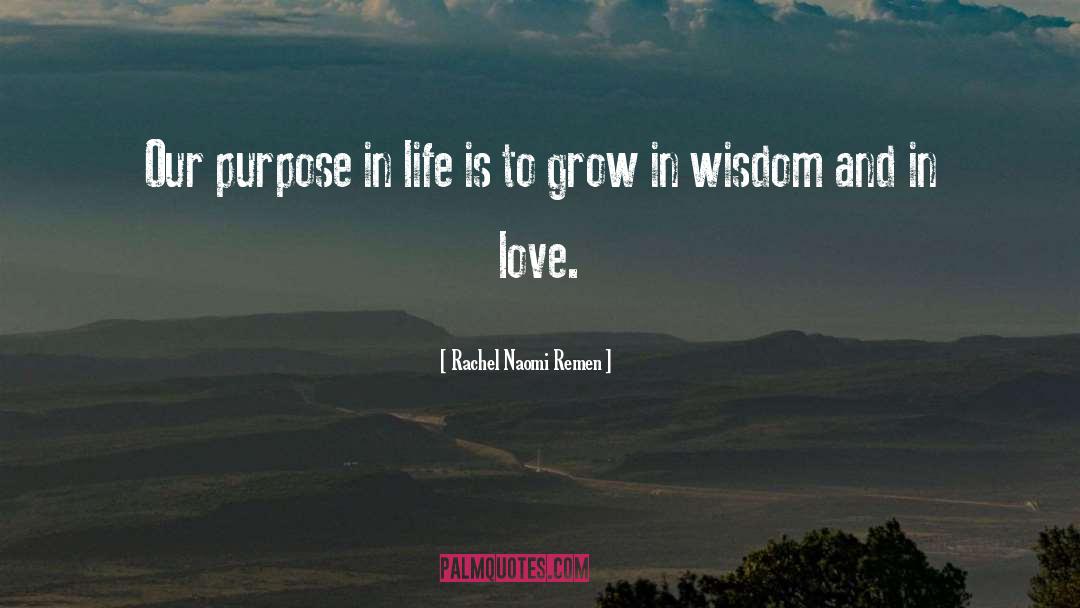 Our Purpose In Life quotes by Rachel Naomi Remen