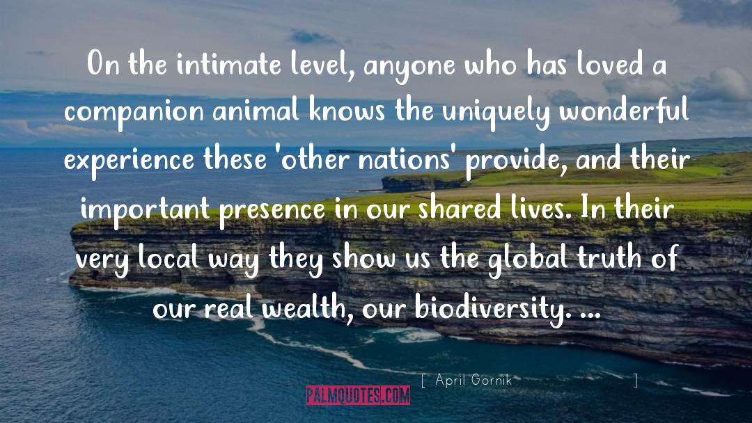 Our Shared Humanity quotes by April Gornik