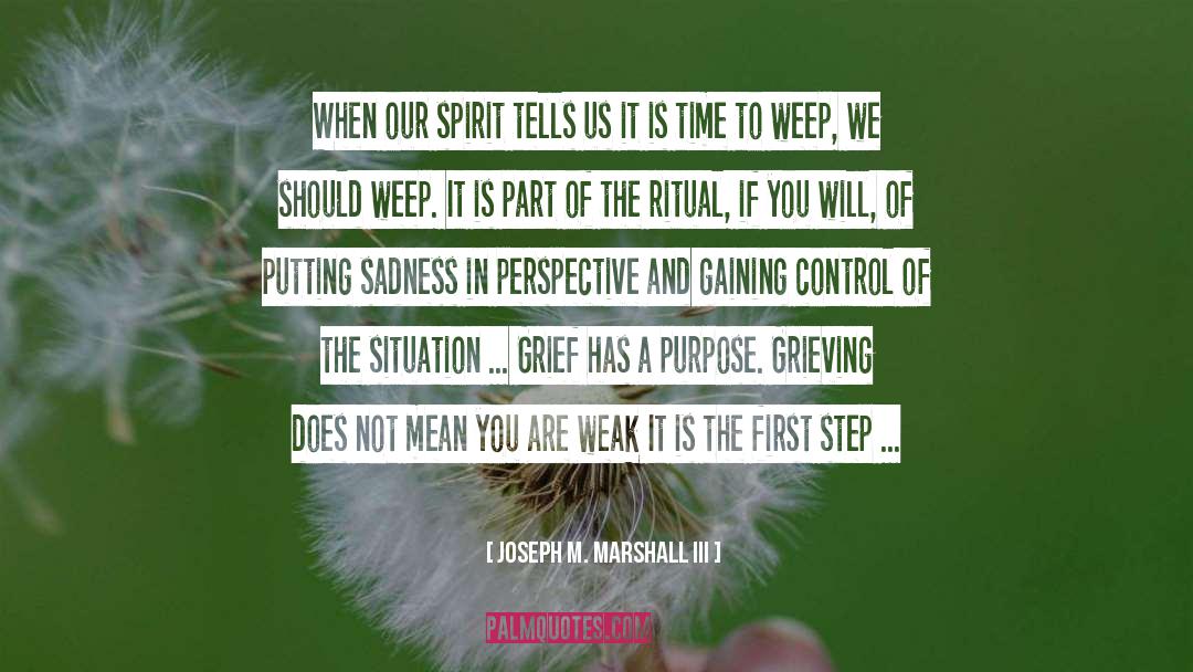 Our Spirit quotes by Joseph M. Marshall III