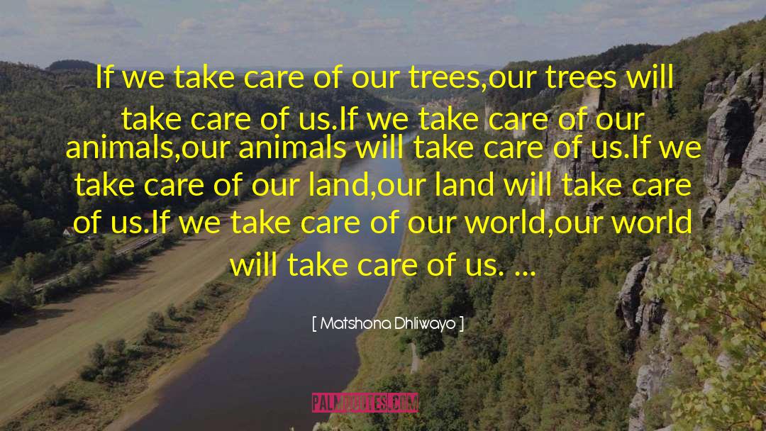 Our Trees quotes by Matshona Dhliwayo