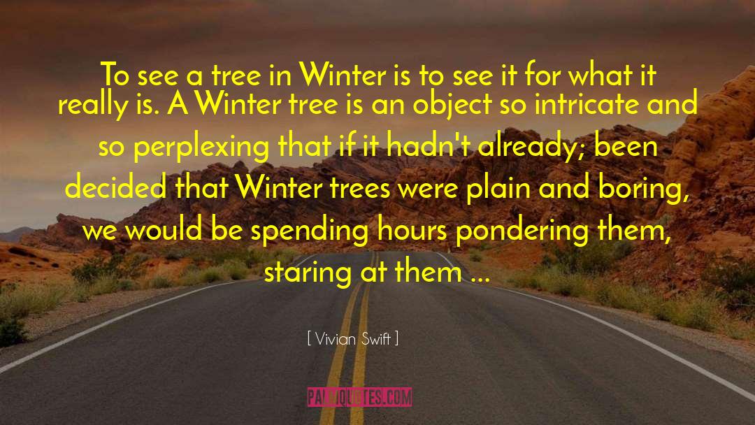 Our Trees quotes by Vivian Swift