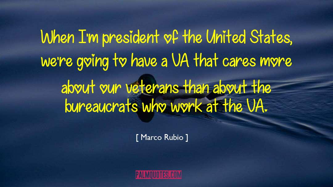 Our Veterans quotes by Marco Rubio
