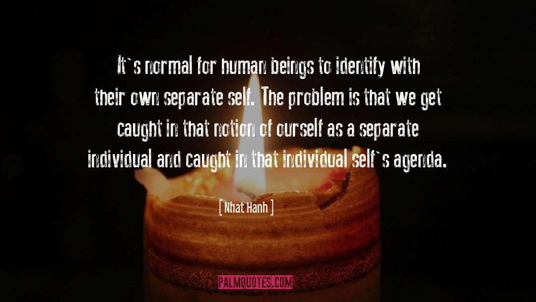 Ourself quotes by Nhat Hanh