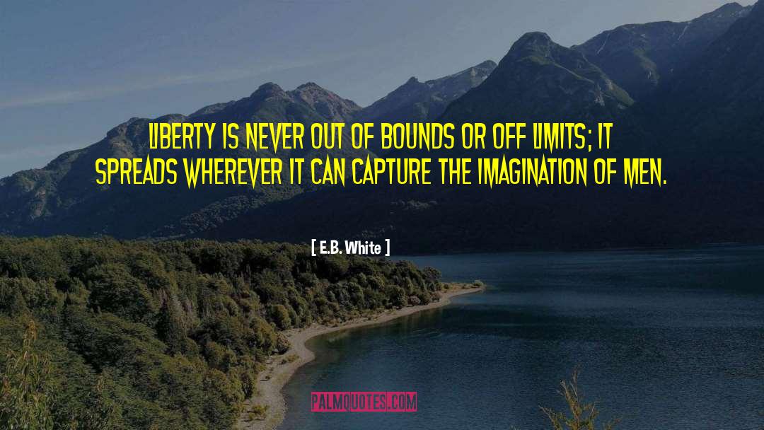 Out Of Bounds quotes by E.B. White