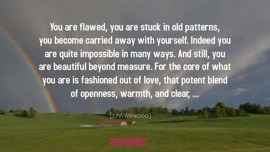 Out Of Love quotes by John Welwood