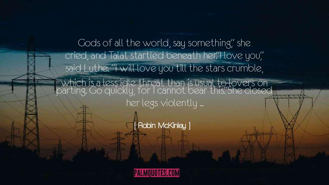 Out Of Sight quotes by Robin McKinley