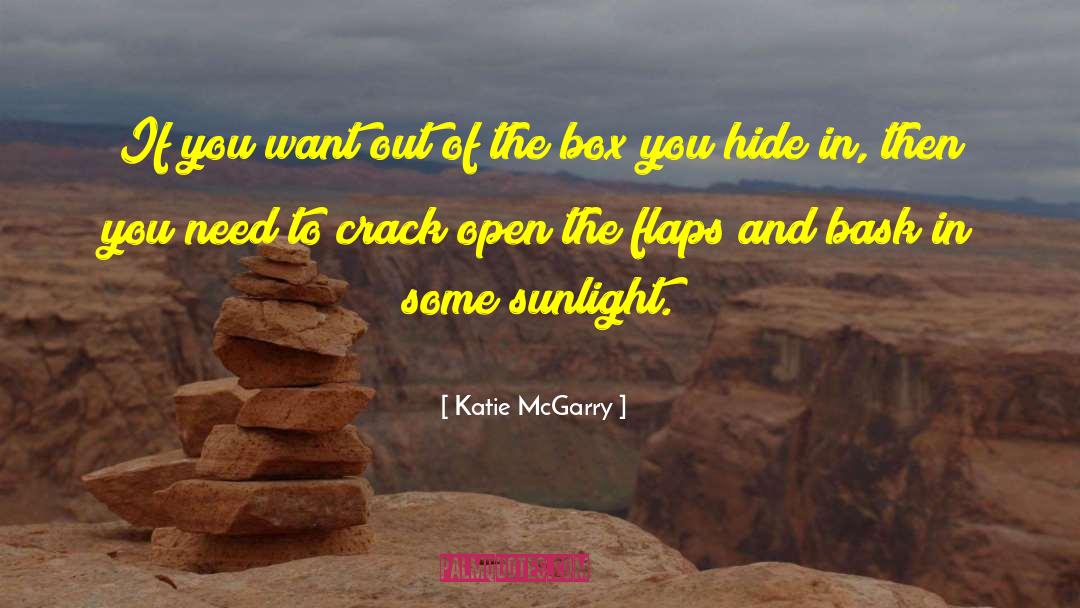 Out Of The Box quotes by Katie McGarry
