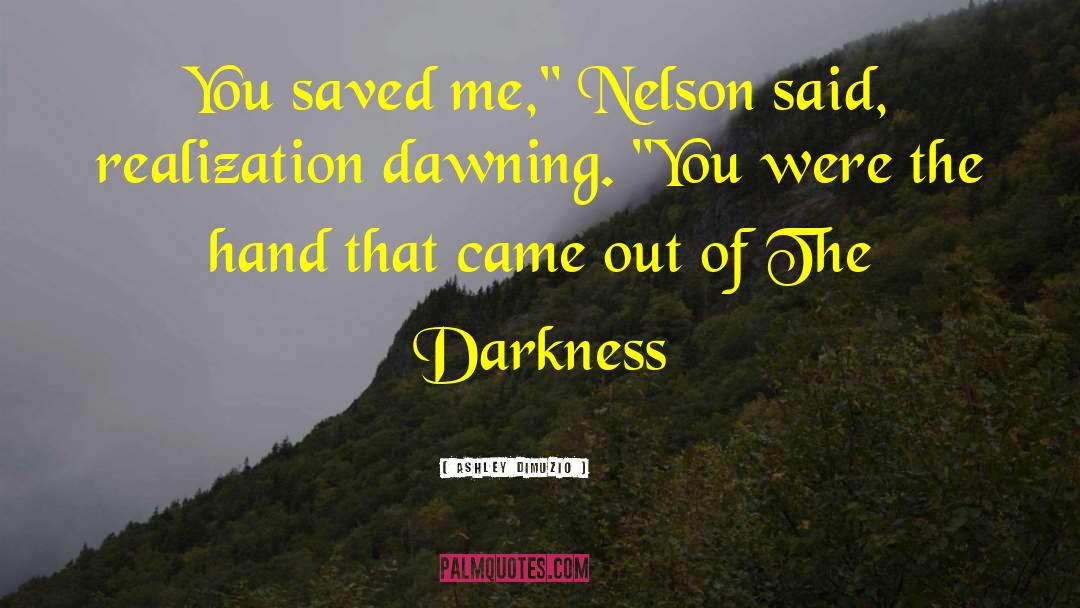 Out Of The Darkness quotes by Ashley DiMuzio