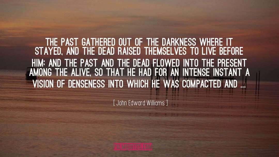 Out Of The Darkness quotes by John Edward Williams