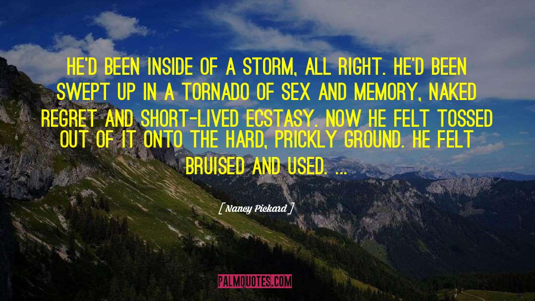Outdoor Sex quotes by Nancy Pickard