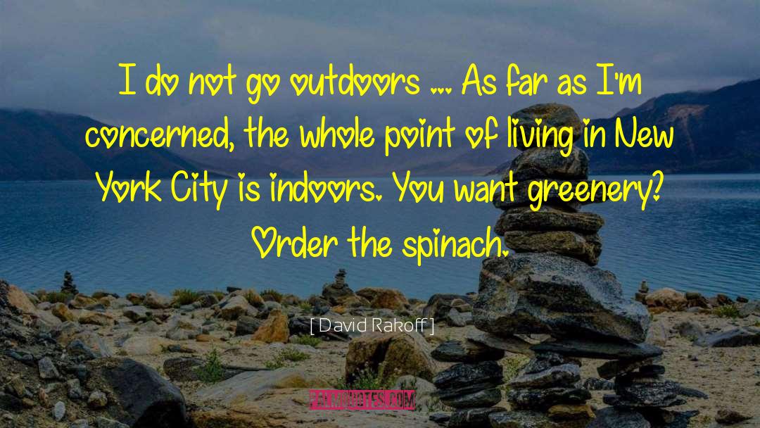 Outdoors quotes by David Rakoff