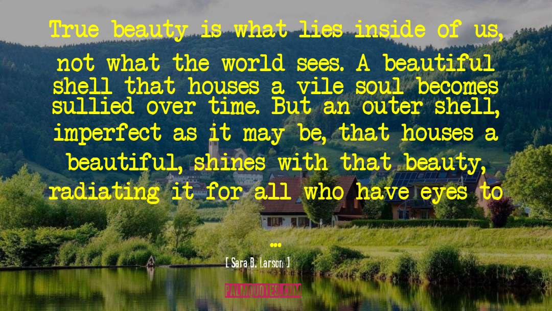 Outer Beauty Is Transient quotes by Sara B. Larson