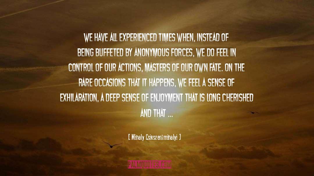 Outer Limits quotes by Mihaly Csikszentmihalyi