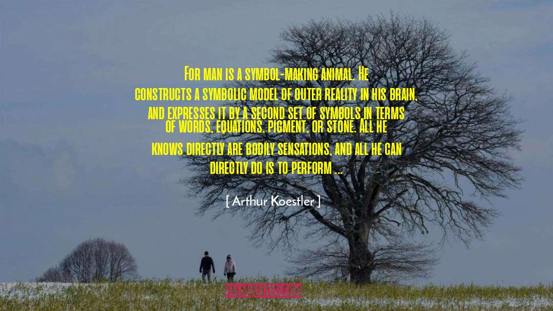 Outer Reality quotes by Arthur Koestler