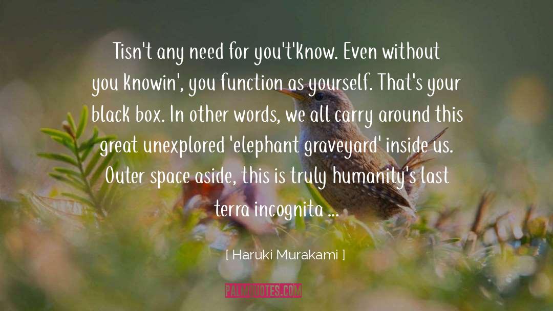 Outer Self quotes by Haruki Murakami