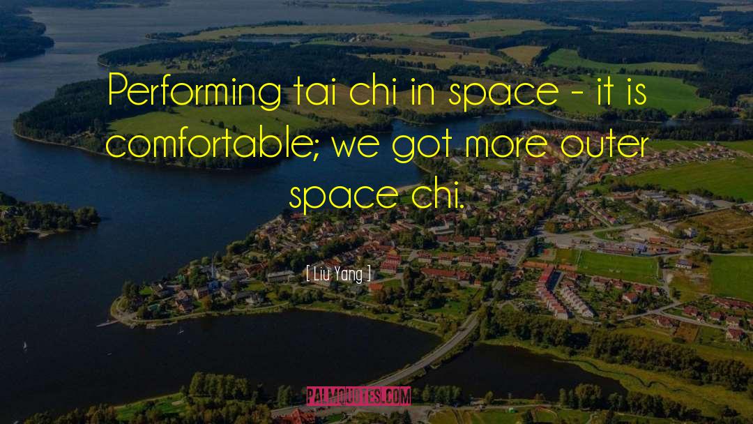 Outer Space quotes by Liu Yang