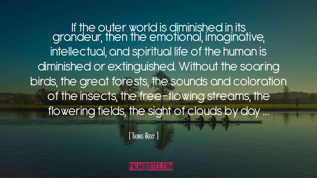 Outer World quotes by Thomas Berry