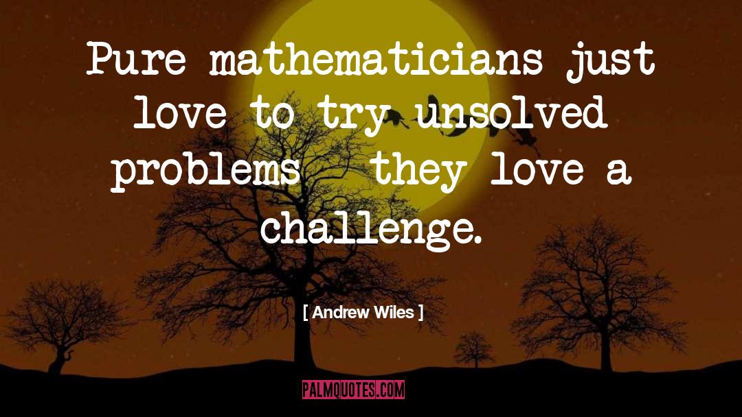 Outrunning Problems quotes by Andrew Wiles