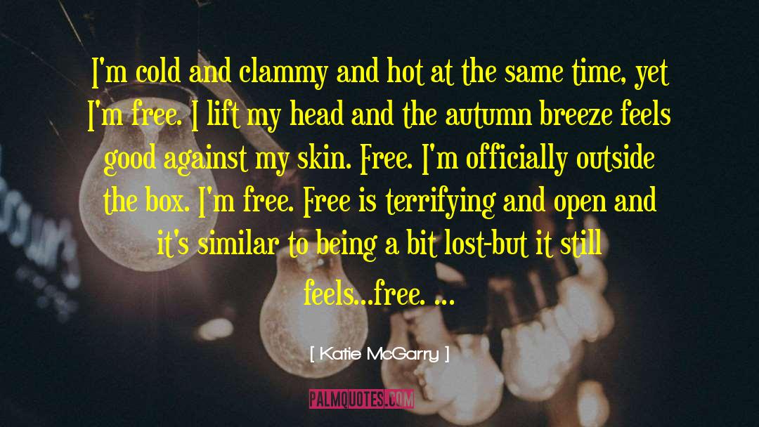 Outside The Box quotes by Katie McGarry