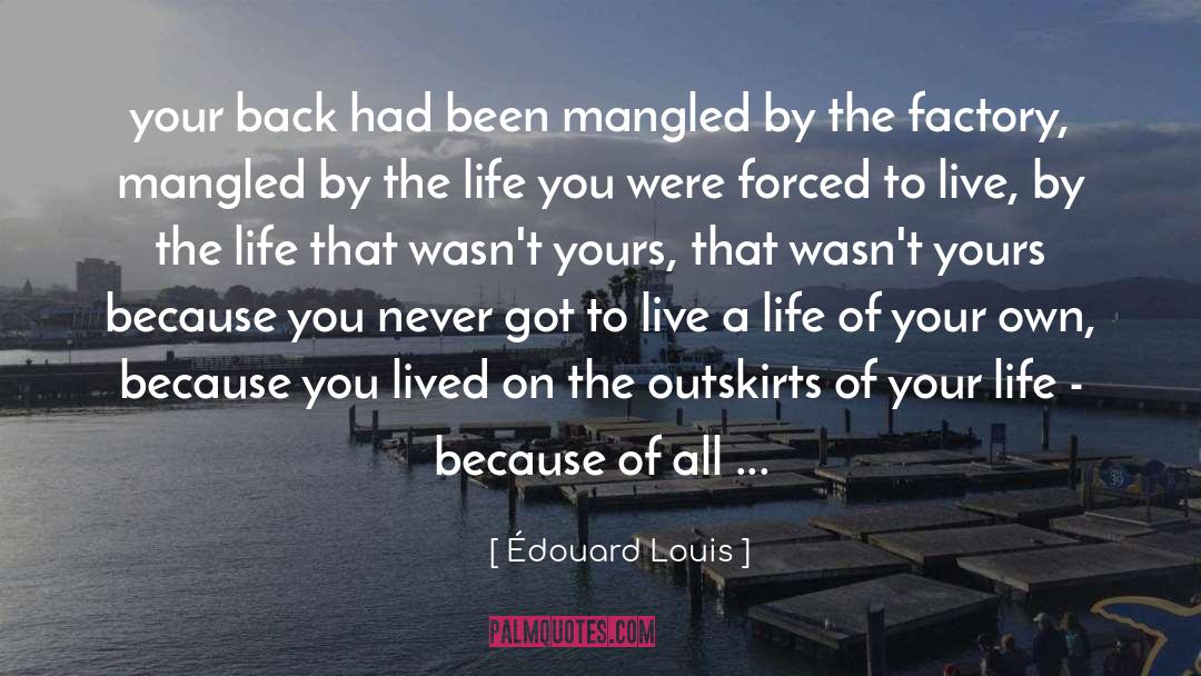 Outskirts quotes by Édouard Louis